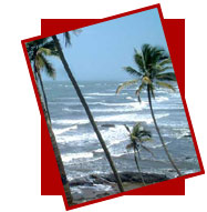 Goa